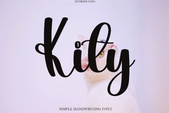 Kity: A Script Font for Human-Centered Web Design