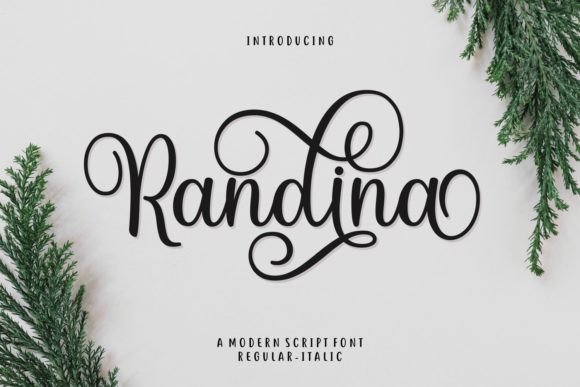 Randina: The Font That Gives Your Business a Handwritten Elegance