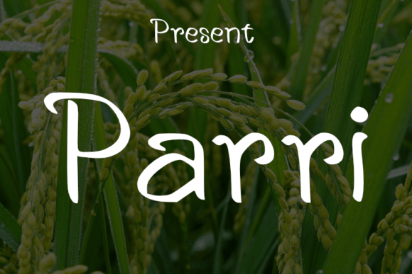 Using Parri: A Designer’s Font for Elegant Branding