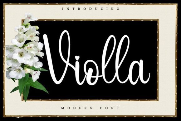 Violla Font: Elevating Campaigns with Elegant Typography